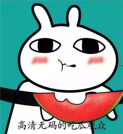 教室吃瓜表情包,吃瓜表情包背后的欢乐时光